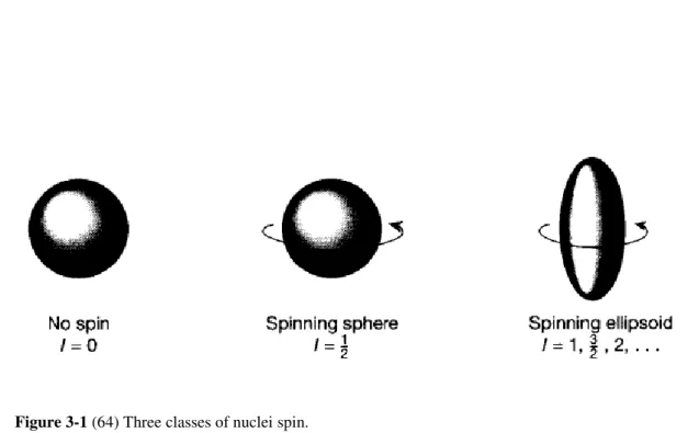 Figure 3-1 (64) Three classes of nuclei spin. 