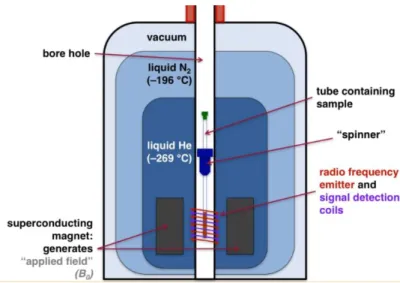 Figure 3-3 (67) Representation of the inside of an NMR machine