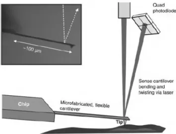 Figure 3-6 (73) Schematic representation of AFM procedure. 