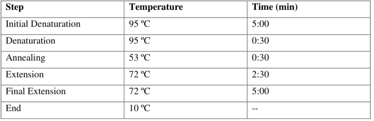 Table 3.7: PCR conditions for pET21a-671 II verification. Number of cycles (a cycle comprising the steps  of Denaturation, Annealing and Extension) was of 30