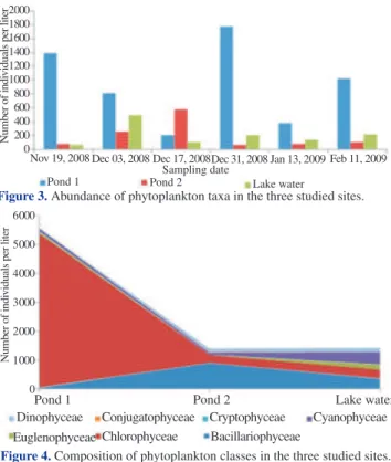 Figure 4. Composition of phytoplankton classes in the three studied sites.