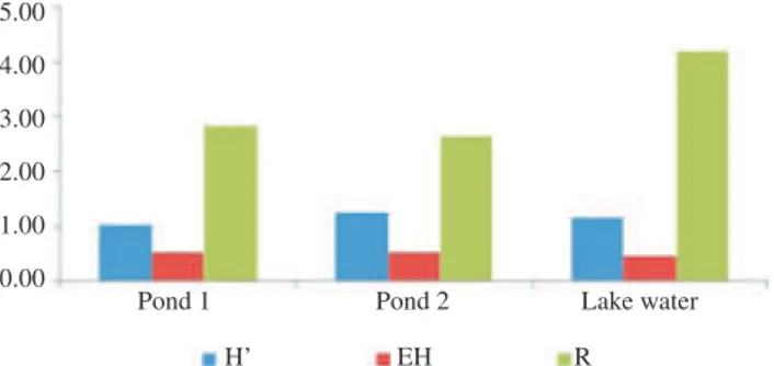 Figure  7. Mean value of Shannon-Wiener diversity index (H’), evenness  index (EH) and Maregalf richeness (R) index of zooplankton species in the  three studied sites.