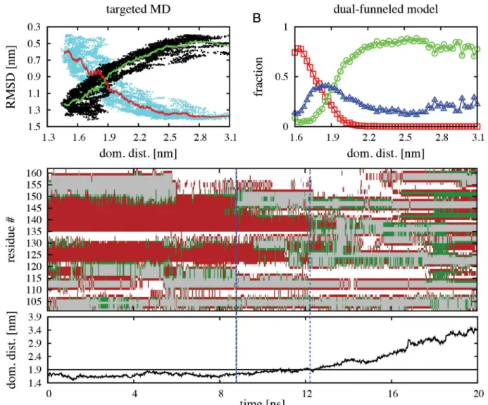 Fig 4. TMD simulations of the α-to-β structural transformation of full RfaH protein in explicit solvent