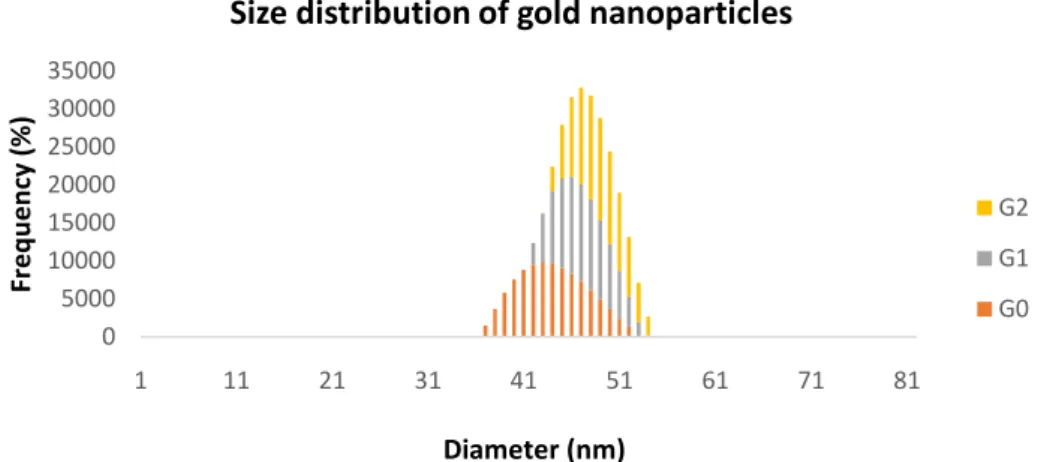 Figure  22:  Size  dispersion  of  the  different  generations  (G0,  G1  and  G2)  of  gold  nanoparticles  determined through Dynamic Light Scattering.
