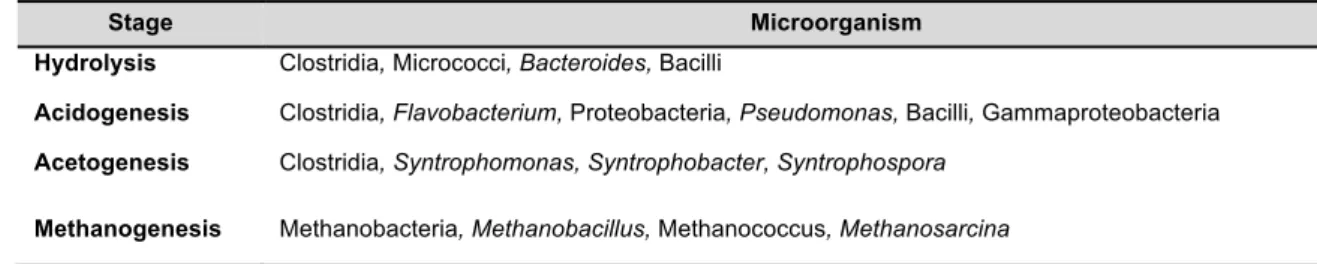 Table 1.1 Examples of microorganisms responsible for each stage of AD (Christy et al., 2014; Divya et al., 2015) 