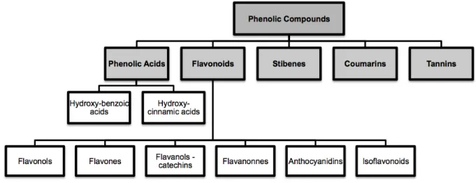 Figure 1.8 – Classification of phenolic compounds according with Liu et al. [61]. 