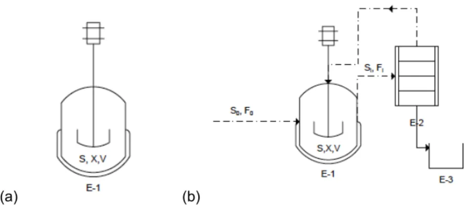 Figure 2.4: (a) Simplified batch reactor. E-1: autoclaved fermenter (b) Simplified fed-batch reactor E-2 recovery  unit (optional), E-3 product collection tank 