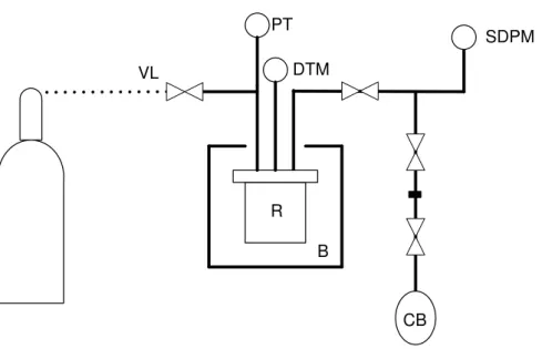 Figure  2.3  – Scheme  of  the calibration of  high pressure  installation:  (VL)  Ar  inlet  and  output and  vacuum  line,  (PT)  pressure  transducer,  (DTM)  digital  temperature  meter,  (R)  reactor,  (B)  bath,  (SDPM)  sensitive  digital  pressure 
