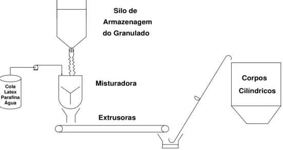 Figura 3. 31: Esquema representativo do processo de extrusão. 