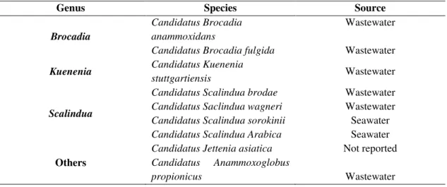 Table 1- Anammox bacterial species. 