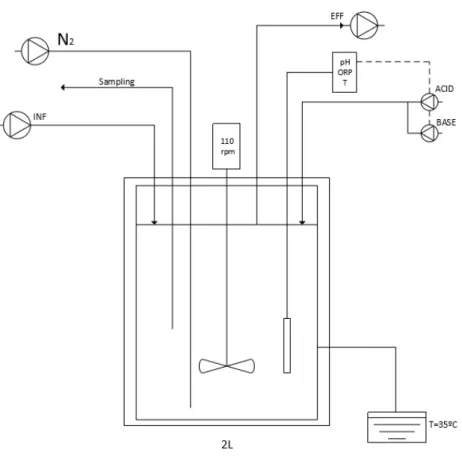 Figure 11- The anammox reactor used in the experiment. 