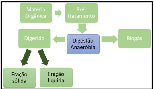 Figura 2.16 - Processo de Digestão Anaeróbia