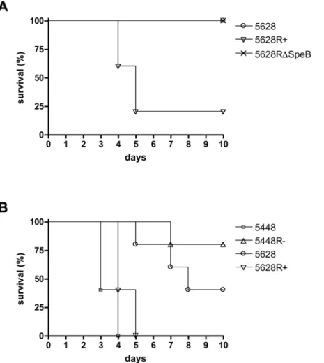 Figure 4. RopB and SpeB-negative bacteria show reduced virulence in systemic infection models