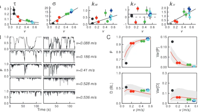 Figure 3. Parameter estimation and validation of the model for groups of N~2 fish. (A) Determination of the parameters of the model defined by Eqs