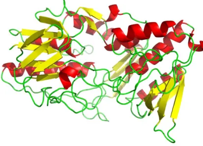 Figure 1.4 – Human SQR 3D structure modelling using the Swiss-model server [47]. The template has ~19% 