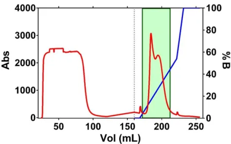 Figure 3.1 – Chromatogram of Rhodanese affinity chromatography. Purification conditions were: Flow 3mL/min,  10mL for fraction