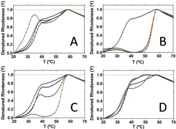 Figure 3.5 – DSF results with four different compounds. Panel A: Rhodanese with SAC. Panel B: Rhodanese  with garlic oil