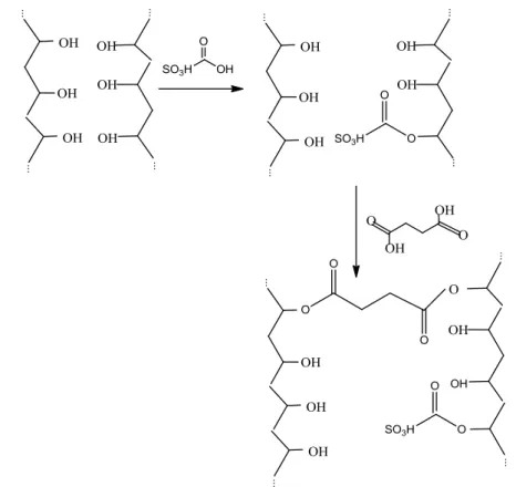 Figura  2.25  – Esquema  provável  da  sulfonação  do  PVA  com  ácido  sulfoacético  e  da  reticulação  com  ácido  succínico