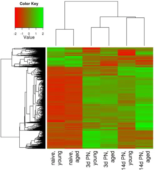 Figure 1. Heatmap of genes differentially expressed between post-stroke and naı¨ve animals