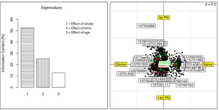 Figure 2. Correspondence analysis of differentially expressed genes and samples grouped by animal age