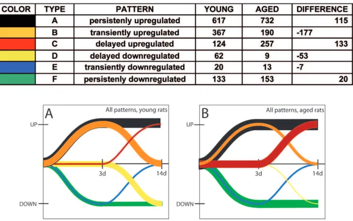 Figure 4. Patterns of gene expression after stroke. There were several distinct patterns of gene regulation: persistently upregulated (black line), transiently upregulated, (orange line), ‘‘late-upregulated’’ (red line), ‘‘late-downregulated’’ (yellow line
