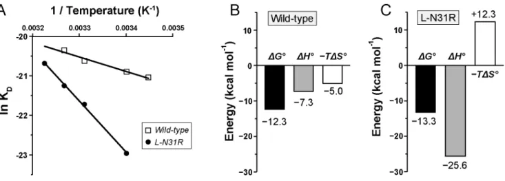 Figure S3). The activation free energy of wild-type antibody is defined by the unfavorable interactions in the transition state (DH { 