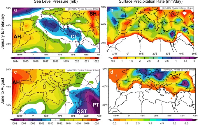 Fig. 2. Sea level pressure and surface precipitation rate in the Mediterranean region in winter – January–February: (a), (b) – and summer – June–August: (c), (d) – averaged from 1968 to 1996