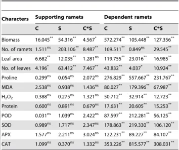 Table 2. F-values of two-way ANOVA which was used to test for the effects of contrast level of water availability (C), severance of stolon connection between the ramets (S) and their interaction (C*S) on the growth parameters and levels of stress indicator
