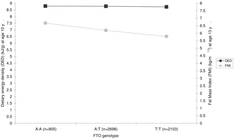 Table 1. Predicting fat mass at age 13 y from DED at 10 y and FTO in all children with data.