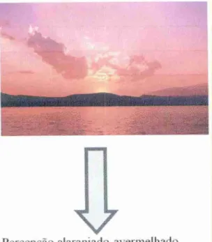 Fig.  12:  Ilustração  da  opalescencia  no céu. 