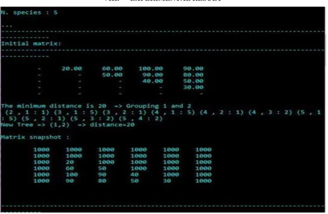 Fig 2. Initial matrix 