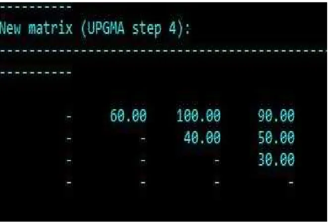 Fig 6. Final matrix 