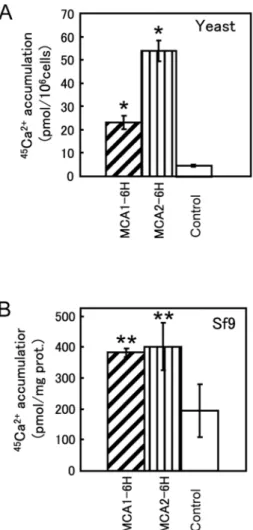 Figure 1. Carboxyl-terminally tagged MCA1 and MCA2 retained their activities. (A) Ca 2+ accumulation in yeast mid1 mutant cells carrying various plasmids