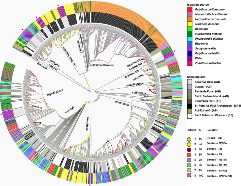 Figure 2 Inferred habitat associations for all ancestors of sequenced Vibrio strains. The rings surrounding the tree represent the isolation source (outer) and the sampling site (inner) from which strains were isolated