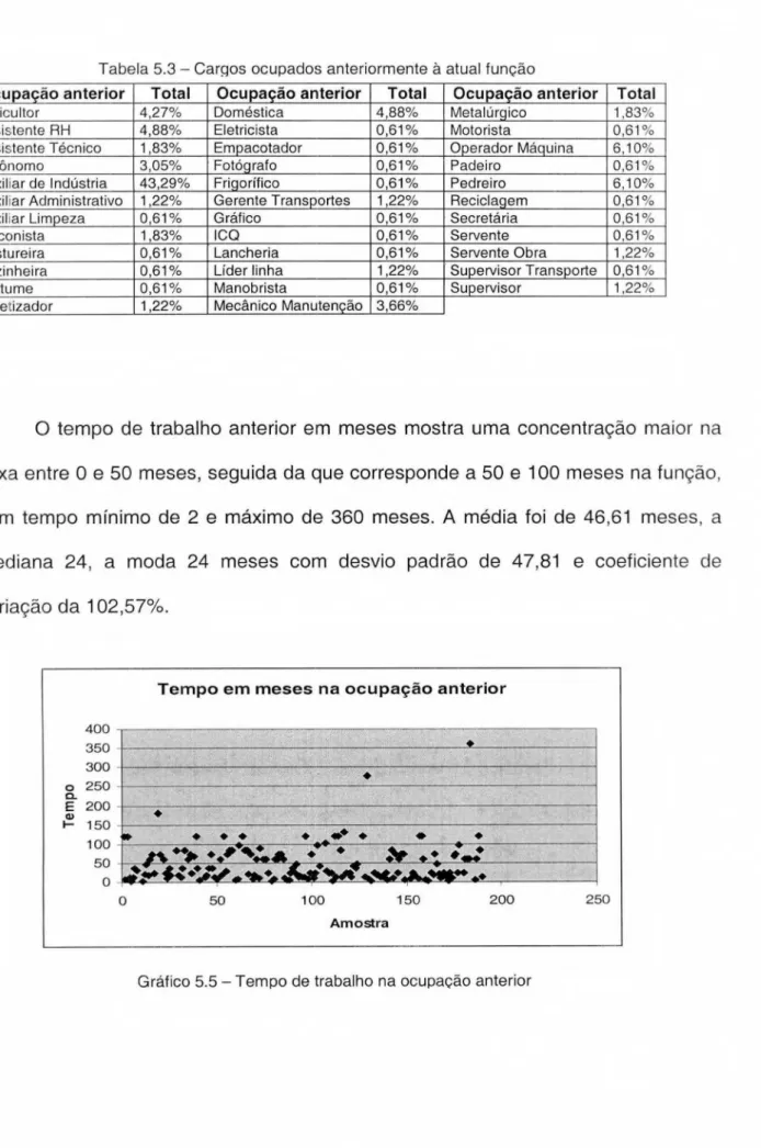 Tabela 5.3 - Cargos ocupados anteriormente à atual função  Ocupação  anterior  Total 