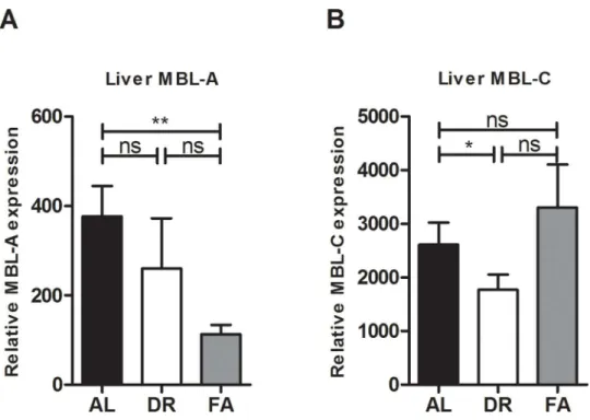 Fig 3. Liver mRNA expression of MBL-A and-C after DR and FA. A) Shows that after FA the MBL-A mRNA expression is reduced as compared to AL while B) Shows that after DR MBL-C mRNA expression is reduced as compared to AL fed mice