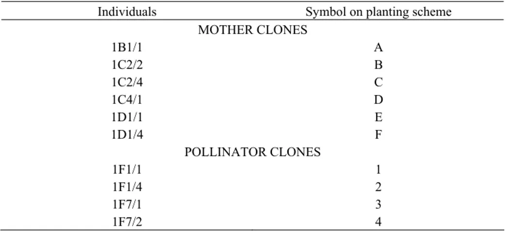 Table 2: Mother individuals and individual pollinator clones 