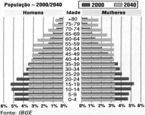 Gráfico 04 - Pirâmide Populacional do Brasil  -  Transição Demográfica: 