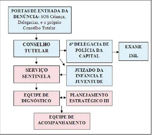 Ilustração 1 - Fluxograma de entrada da denúncia na Equipe de Acompanhamento