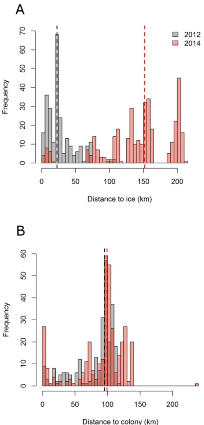 Fig 3. Histograms of the distance to (A) the ice (80% sea ice concentration) and (B) to the colony for foraging and resting positions in 2012 (grey) and 2014 (red)