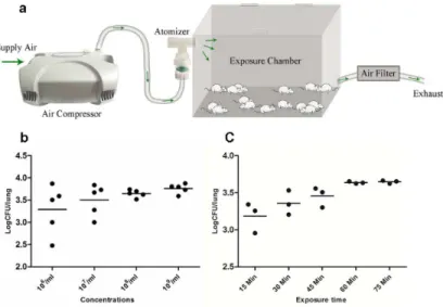 Fig 1. Preliminary experiments of aerosol exposure system. Illustration shows the inhalation exposure system