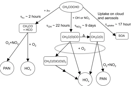 Fig. 1. Simplified atmospheric degradation scheme for methylglyoxal highlighting loss via UV photolysis, OH radical reaction, NO 3 radical reaction, and cloud and aerosol uptake