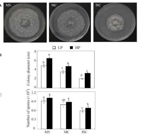 Table 2. Concentrations of phenolic acids ( m g?pot 21 ) in root exudates from different treatments at the flowering stage as detected by HPLC.