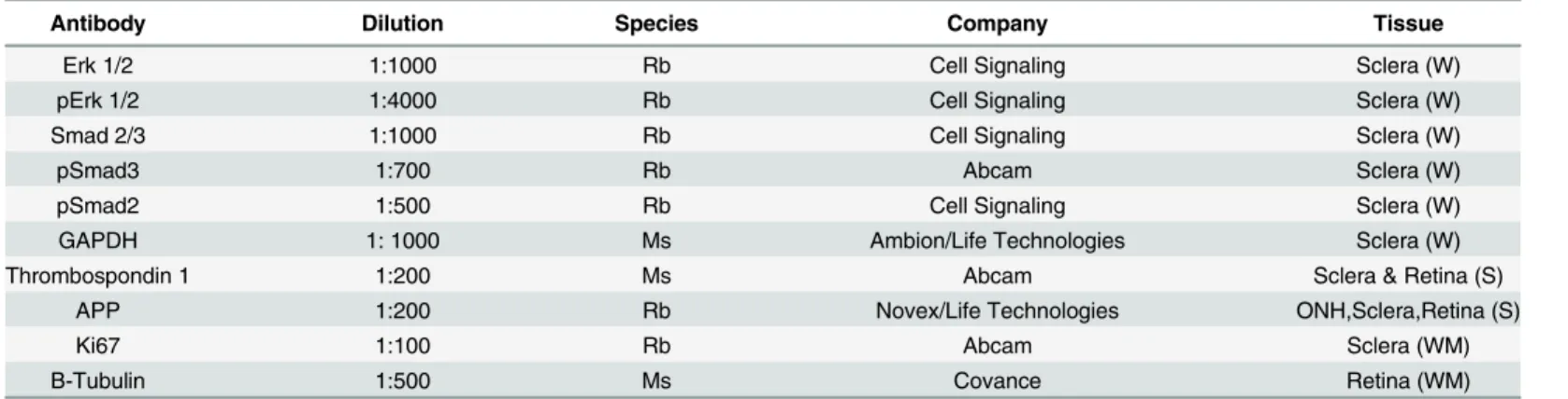 Table 2. Primary antibodies used for histological studies and Immunoblot.