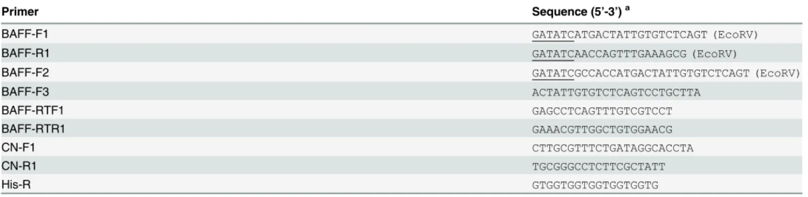 Table 1. Primers used in this study.