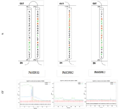 Figure  3.  PhSERKs  sequences  analysis.  a:  The  transmembrane  region  predicted  by  RHYTHM  tool