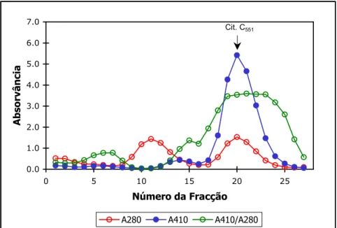 Figura I.2.11. Perfil de eluição da coluna Superdex 75 com um gradiente isocrático de 300 mM  Tris-HCl, pH=7.6