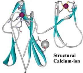 Fig. 1 Three-dimensional ribbon structure of the two domains of Desulfovibrio desulfuricans DFx