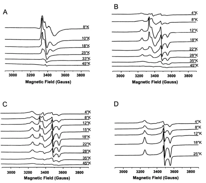 Fig. 2: Temperature dependece of EPR spectra of APS reductase from D. aminophilus with: (A) Native enzyme, signal from residual [3Fe-4S] cluster