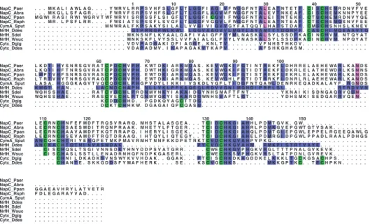 Fig. 4. Sequence alignment of NrfH from D. desulfuricans ATCC 27774 with members of the NapC/NirT family and cytochrome c 3 from Desulfo- Desulfo-vibrio species